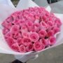 Pink romance